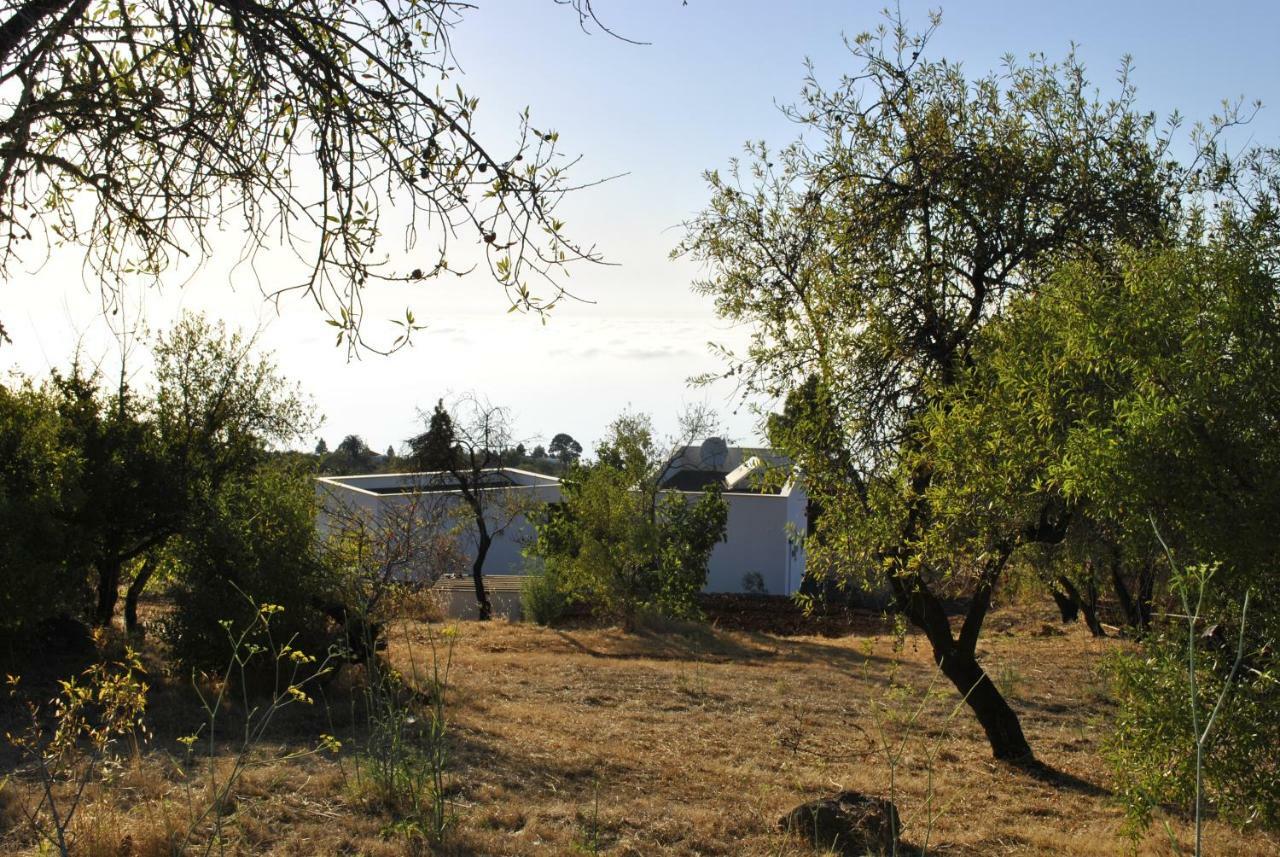Villa Horizonte Puntagorda Zewnętrze zdjęcie